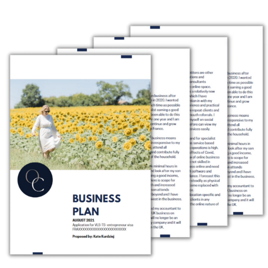 4 page mockup of the France Business Visa business plan template