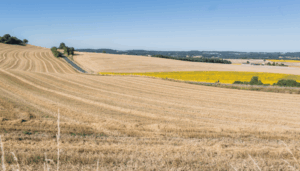 Read more about the article Step-by-Step Guide: Writing a French Business Plan for the French Profession Liberale Visa